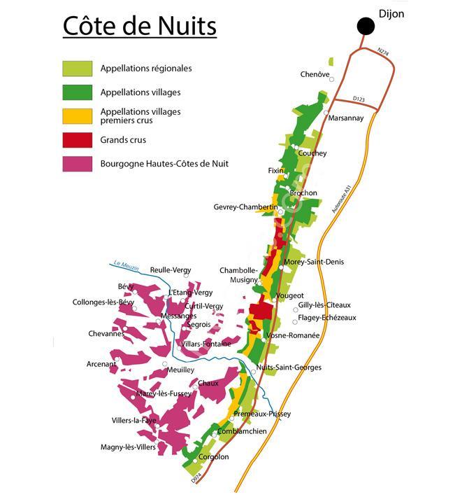La Bourgogne et son Vignoble Beaune