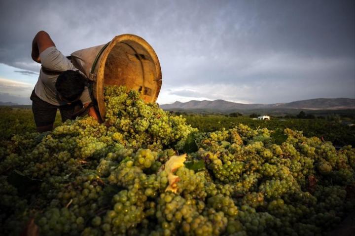 La Bourgogne et son Vignoble Beaune