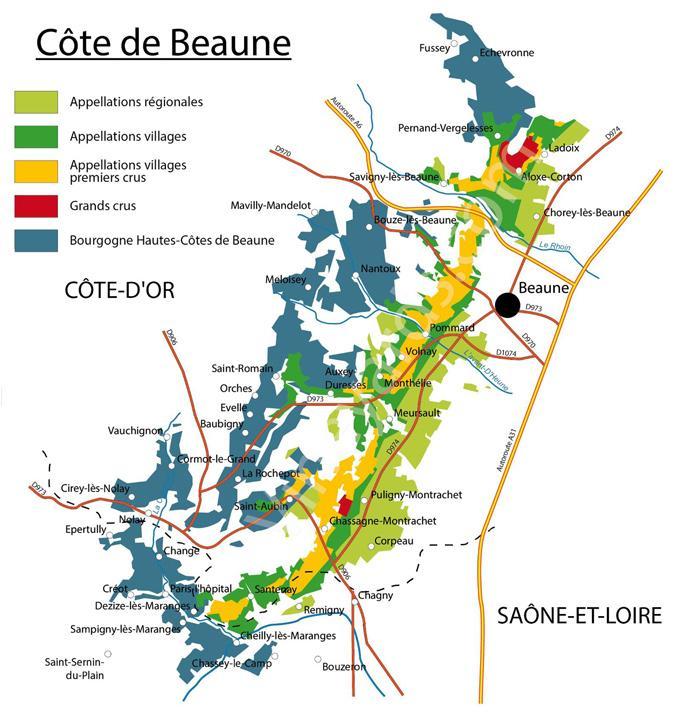 Le vignoble de Bourgogne Beaune