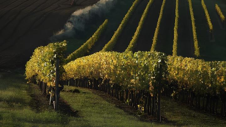 La Bourgogne et son Vignoble Beaune