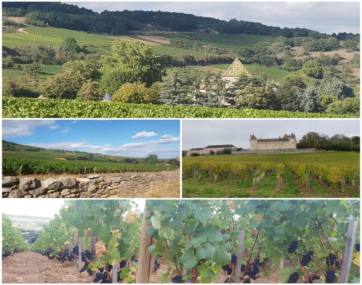 La Bourgogne et son Vignoble Beaune